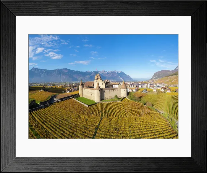 Framed Print : Chateau d'Aigle and vineyards, Aigle, Vaud, Switzerland Framed Print : Chateau d'Aigle and vineyards, Aigle, Vaud, Switzerland