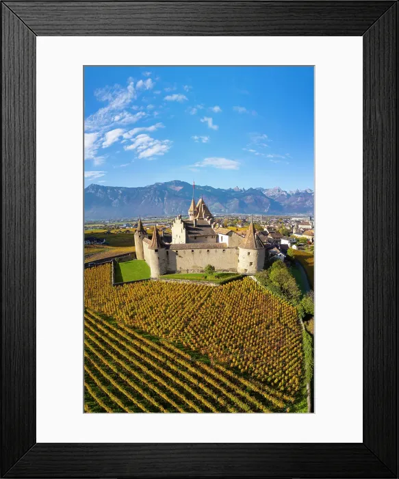 Framed Print : Chateau d'Aigle and vineyards, Aigle, Vaud, Switzerland Framed Print : Chateau d'Aigle and vineyards, Aigle, Vaud, Switzerland
