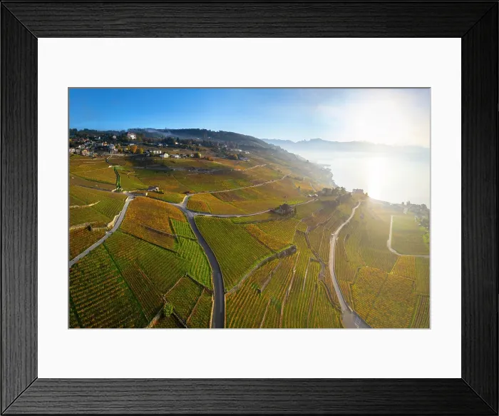 Framed Print : Terrasses de Lavaux Vineyards, Lake Geneva (Lac Leman), Vaud, Switzerland Framed Print : Terrasses de Lavaux Vineyards, Lake Geneva (Lac Leman), Vaud, Switzerland