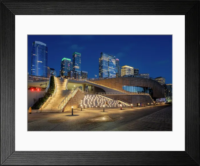 Framed Print : Ocean Pavillion of Seattle Aquarium and downtown skyline by night, Seattle, Washington, USA Framed Print : Ocean Pavillion of Seattle Aquarium and downtown skyline by night, Seattle, Washington, USA