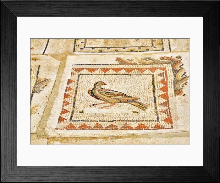 Framed Print : Mosaics in the House of the Birds. Italica, a Roman city near Seville. Andalusia, Spain Framed Print : Mosaics in the House of the Birds. Italica, a Roman city near Seville. Andalusia, Spain