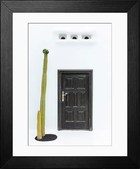 Framed Print : Door and cactus against whitewashed wall, César Manrique Foundation, Tahiche, Lanzarote, Canary Islands, Spain Framed Print : Door and cactus against whitewashed wall, César Manrique Foundation, Tahiche, Lanzarote, Canary Islands, Spain