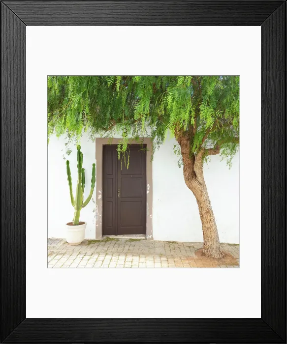 Framed Print : Tree framing the door of an old house, Teguise, Lanzarote, Canary Islands, Spain Framed Print : Tree framing the door of an old house, Teguise, Lanzarote, Canary Islands, Spain