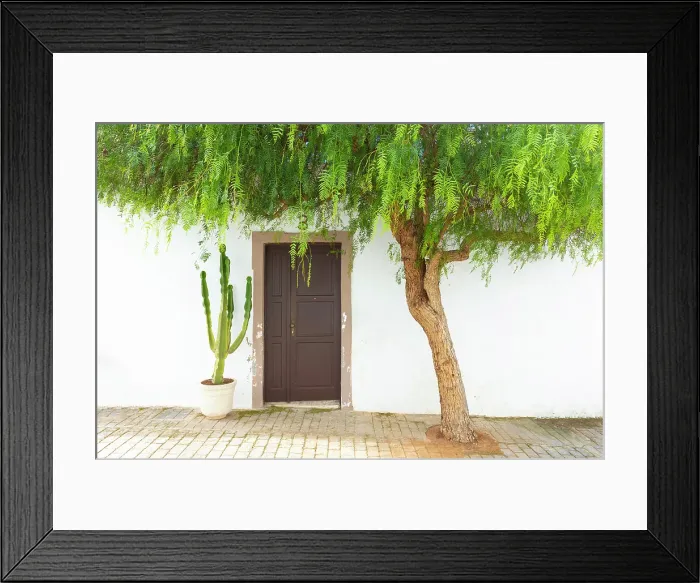Framed Print : Tree framing the door of an old house, Teguise, Lanzarote, Canary Islands, Spain Framed Print : Tree framing the door of an old house, Teguise, Lanzarote, Canary Islands, Spain