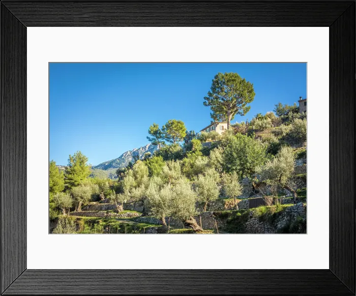 Framed Print : Terraces in the mountain village of Deia, Serra de Tramuntana, Mallorca, Balearic Islands, Spain Framed Print : Terraces in the mountain village of Deia, Serra de Tramuntana, Mallorca, Balearic Islands, Spain
