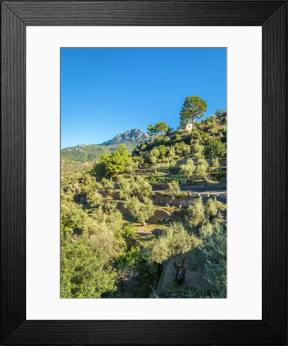 Framed Print : Terraces in the mountain village of Deia, Serra de Tramuntana, Mallorca, Balearic Islands, Spain