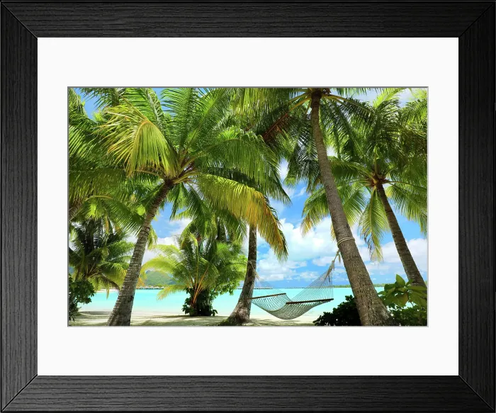 Framed Print : Hammock strung between palm trees overlooking the beach and sea, Bora Bora, Society Islands, Pacific Ocean, French Polynesia Framed Print : Hammock strung between palm trees overlooking the beach and sea, Bora Bora, Society Islands, Pacific Ocean, French Polynesia