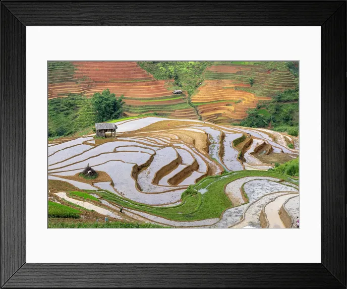 Framed Print : Rice terraces at Mu Cang Chai, Vietnam Framed Print : Rice terraces at Mu Cang Chai, Vietnam
