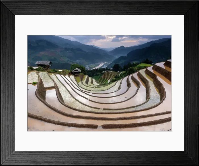 Framed Print : Rice terraces at Mu Cang Chai, Vietnam Framed Print : Rice terraces at Mu Cang Chai, Vietnam