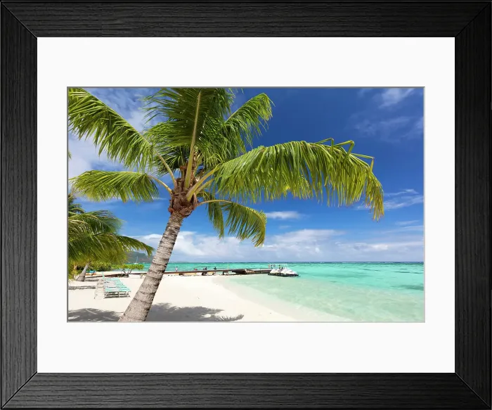 Framed Print : Beach scene with palm trees, , Mo'orea, Society Islands, Pacific Ocean, French Polynesia Framed Print : Beach scene with palm trees, , Mo'orea, Society Islands, Pacific Ocean, French Polynesia