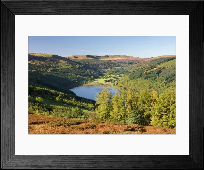 Framed Print : Talybont Reservoir and Pant y Creigiau mountain, Brecon Beacons National Park, Powys, Wales. Autumn (October) 2009 Framed Print : Talybont Reservoir and Pant y Creigiau mountain, Brecon Beacons National Park, Powys, Wales. Autumn (October) 2009