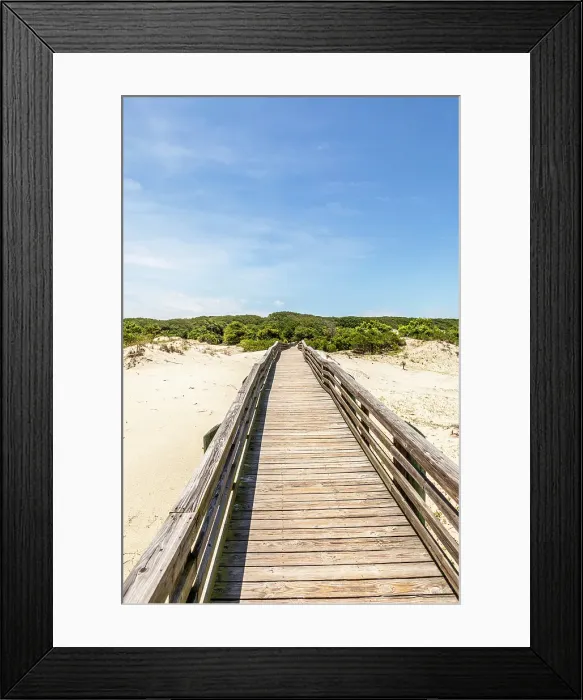 Framed Print : Cumberland Island National Seashore, Georgia, USA Framed Print : Cumberland Island National Seashore, Georgia, USA