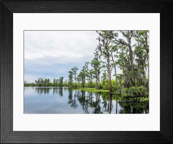 Framed Print : Okefenokee National Wildlife Refuge, Georgia, USA Framed Print : Okefenokee National Wildlife Refuge, Georgia, USA