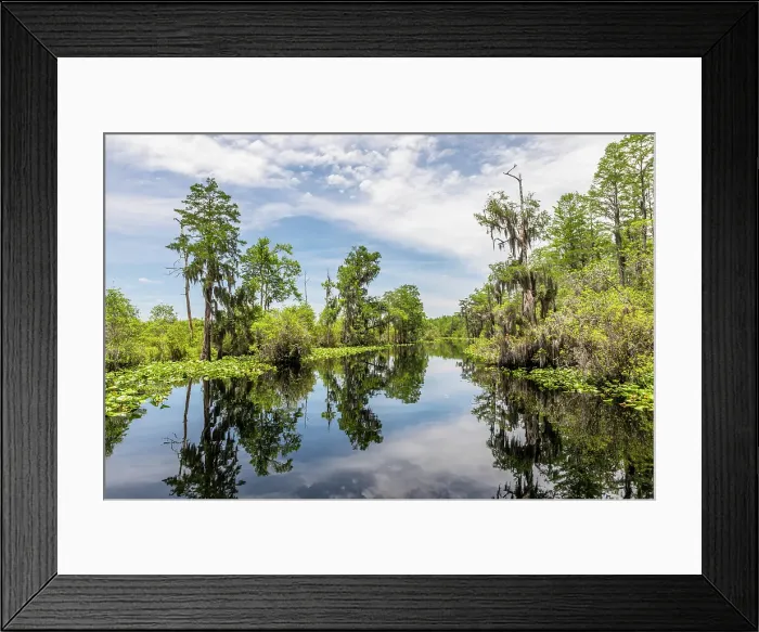 Framed Print : Okefenokee National Wildlife Refuge, Georgia, USA Framed Print : Okefenokee National Wildlife Refuge, Georgia, USA