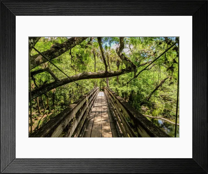 Framed Print : Hillsborough River State Park, Tampa, Florida, USA Framed Print : Hillsborough River State Park, Tampa, Florida, USA