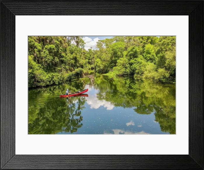 Framed Print : Hillsborough River State Park, Tampa, Florida, USA Framed Print : Hillsborough River State Park, Tampa, Florida, USA