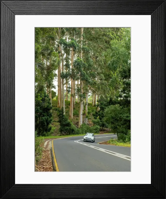 Framed Print : Road in Constantia, Cape Town, Western Cape, South Africa Framed Print : Road in Constantia, Cape Town, Western Cape, South Africa
