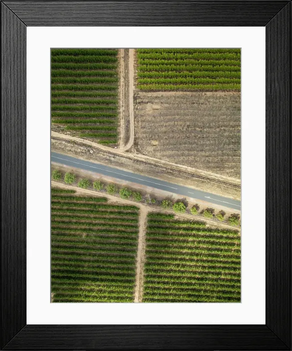 Framed Print : Vineyards surrounding Tulbagh, Western Cape, South Africa Framed Print : Vineyards surrounding Tulbagh, Western Cape, South Africa
