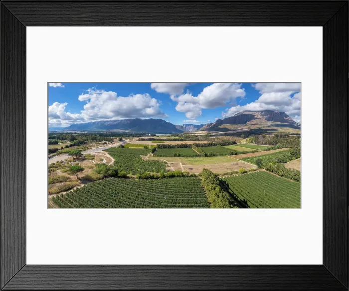 Framed Print : Orchards around Breerivier, Wolseley, Western Cape, South Africa Framed Print : Orchards around Breerivier, Wolseley, Western Cape, South Africa