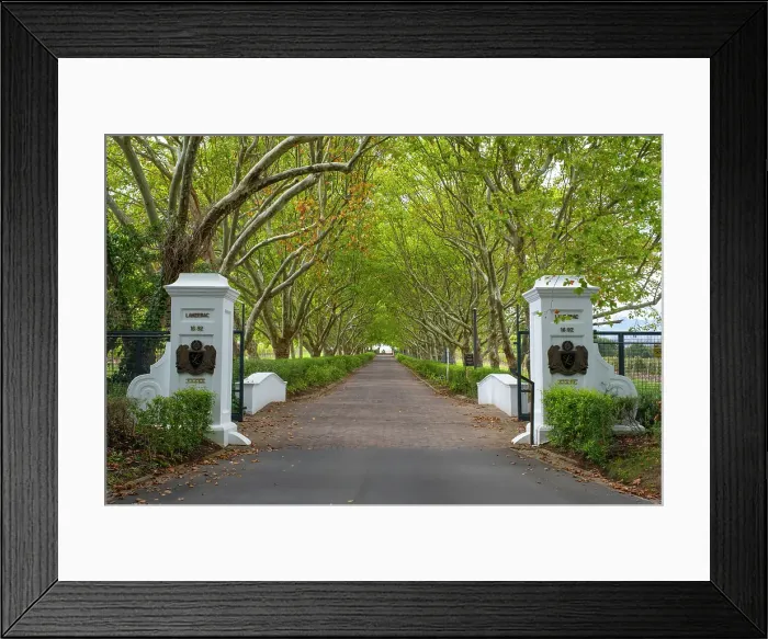 Framed Print : Lanzerac Wine Estate, Stellenbosch, Western Cape, South Africa Framed Print : Lanzerac Wine Estate, Stellenbosch, Western Cape, South Africa