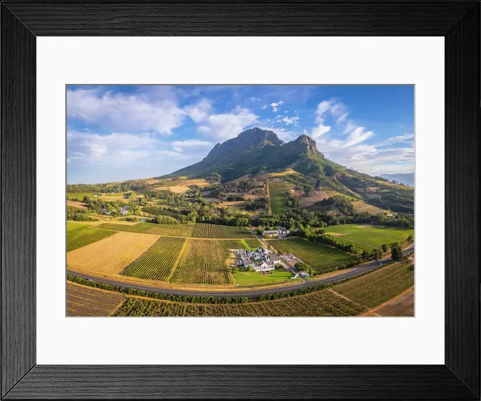 Framed Print : Vineyards of Stellenbosch & Simonsberg Mountain, Western Cape, South Africa Framed Print : Vineyards of Stellenbosch & Simonsberg Mountain, Western Cape, South Africa