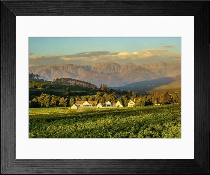 Framed Print : Zorgvliet Wine Estate, Stellenbosch, Western Cape, South Africa
