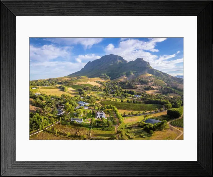 Framed Print : Vineyards of Stellenbosch & Simonsberg Mountain, Western Cape, South Africa Framed Print : Vineyards of Stellenbosch & Simonsberg Mountain, Western Cape, South Africa
