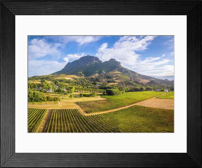 Framed Print : Vineyards of Stellenbosch & Simonsberg Mountain, Western Cape, South Africa Framed Print : Vineyards of Stellenbosch & Simonsberg Mountain, Western Cape, South Africa