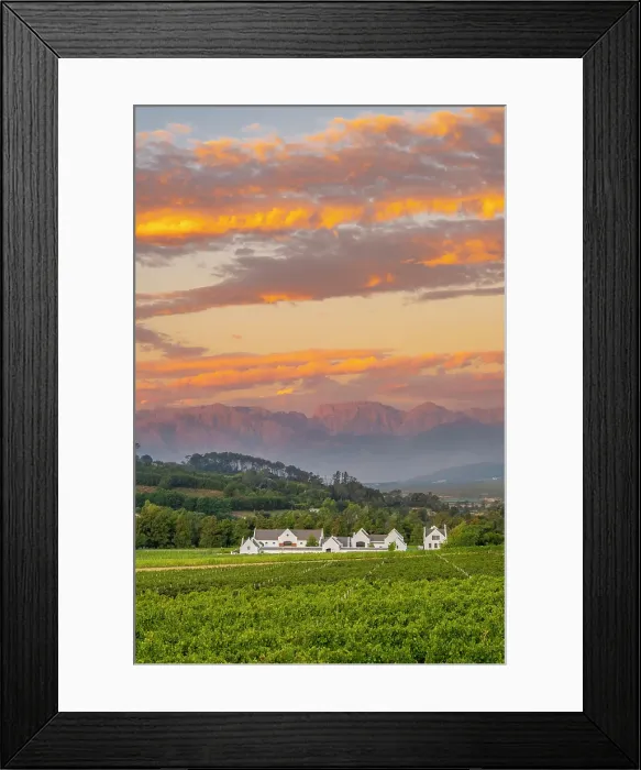 Framed Print : Zorgvliet Wine Estate, Stellenbosch, Western Cape, South Africa Framed Print : Zorgvliet Wine Estate, Stellenbosch, Western Cape, South Africa