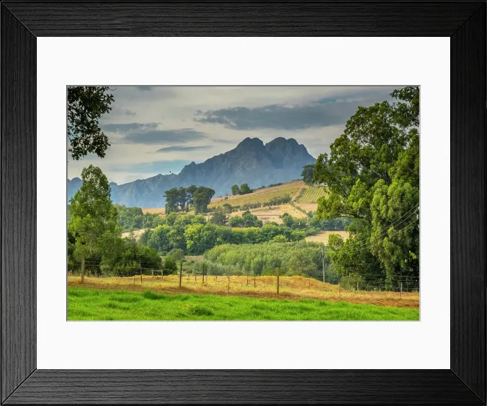 Framed Print : Rustenberg Wine Estate, Stellenbosch, Western Cape, South Africa Framed Print : Rustenberg Wine Estate, Stellenbosch, Western Cape, South Africa