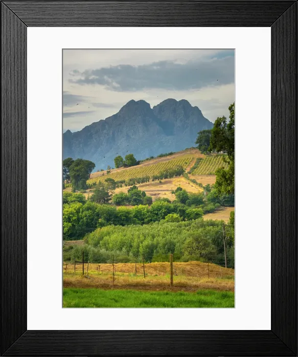 Framed Print : Rustenberg Wine Estate, Stellenbosch, Western Cape, South Africa Framed Print : Rustenberg Wine Estate, Stellenbosch, Western Cape, South Africa