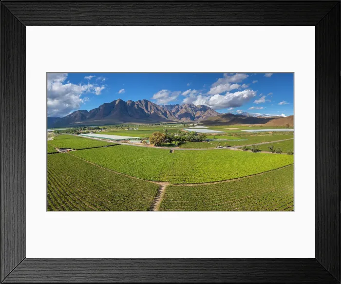 Framed Print : Vineyards surrounding Worcester, Western Cape, South Africa Framed Print : Vineyards surrounding Worcester, Western Cape, South Africa