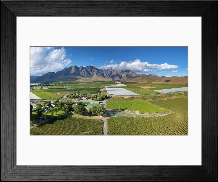 Framed Print : Vineyards surrounding Worcester, Western Cape, South Africa Framed Print : Vineyards surrounding Worcester, Western Cape, South Africa