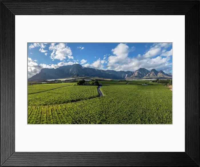 Framed Print : Vineyards surrounding Worcester, Western Cape, South Africa Framed Print : Vineyards surrounding Worcester, Western Cape, South Africa
