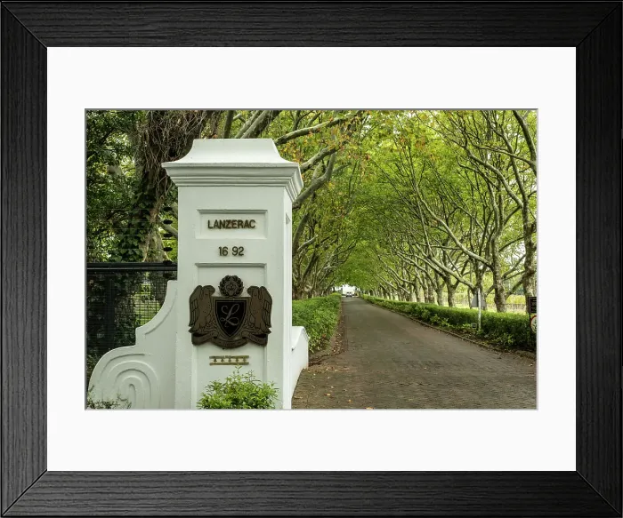 Framed Print : Lanzerac Wine Estate, Stellenbosch, Western Cape, South Africa