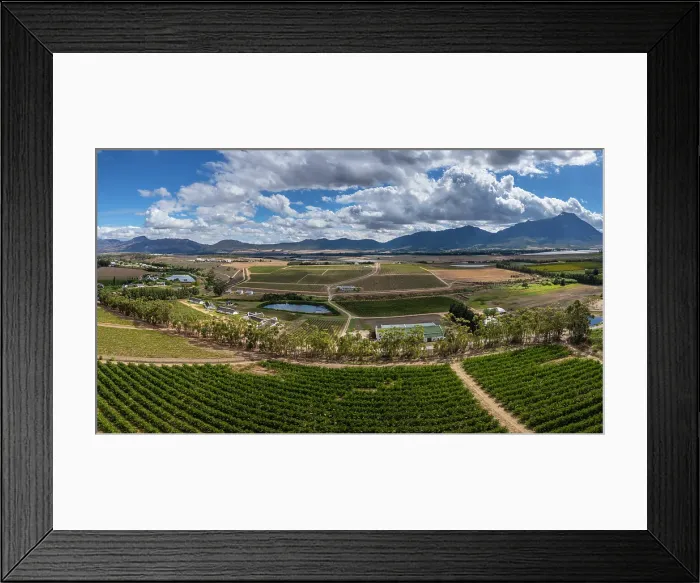 Framed Print : Vineyards surrounding Tulbagh, Western Cape, South Africa Framed Print : Vineyards surrounding Tulbagh, Western Cape, South Africa