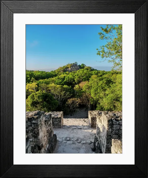 Framed Print : View from Structure VII towards Structure II, Calakmul Archaeological Site, Campeche State, Mexico Framed Print : View from Structure VII towards Structure II, Calakmul Archaeological Site, Campeche State, Mexico