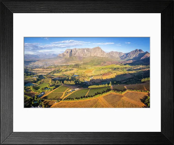 Framed Print : Vineyards of Stellenbosch, Western Cape, South Africa Framed Print : Vineyards of Stellenbosch, Western Cape, South Africa
