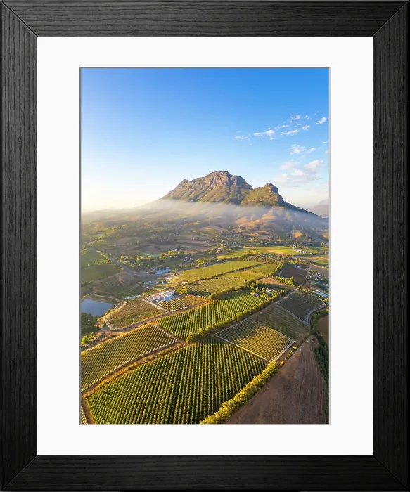 Framed Print : Vineyards of Stellenbosch & Simonsberg Mountain, Western Cape, South Africa Framed Print : Vineyards of Stellenbosch & Simonsberg Mountain, Western Cape, South Africa