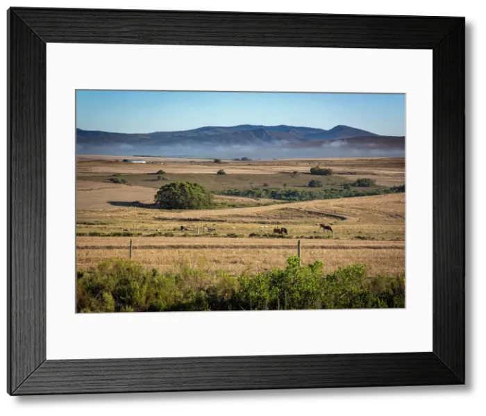 Framed Print : Agulhas Plain, Overberg region, Western Cape, South Africa Framed Print : Agulhas Plain, Overberg region, Western Cape, South Africa