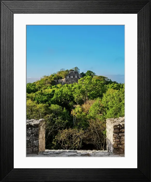 Framed Print : View from Structure VII towards Structure II, Calakmul Archaeological Site, Campeche State, Mexico Framed Print : View from Structure VII towards Structure II, Calakmul Archaeological Site, Campeche State, Mexico