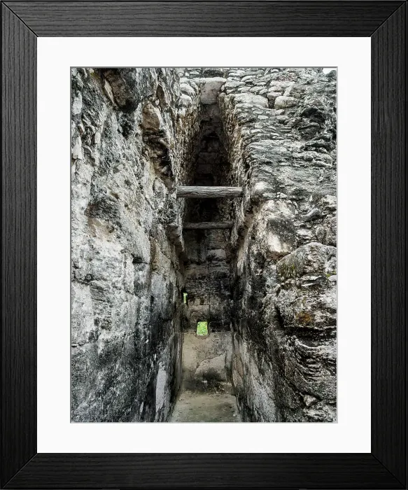Framed Print : Building at the main plaza, Calakmul Archaeological Site, Campeche State, Mexico Framed Print : Building at the main plaza, Calakmul Archaeological Site, Campeche State, Mexico