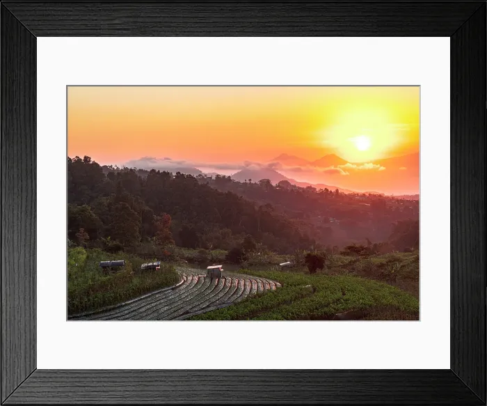 Framed Print : Agricultural fields and farms at dawn, Nepal Van Java, Magelang, Central Java, Indonesia Framed Print : Agricultural fields and farms at dawn, Nepal Van Java, Magelang, Central Java, Indonesia