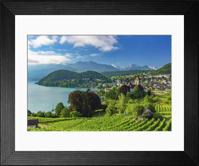Framed Print : Spiez Castle and vineyards, Spiez, Canton of Bern, Switzerland Framed Print : Spiez Castle and vineyards, Spiez, Canton of Bern, Switzerland