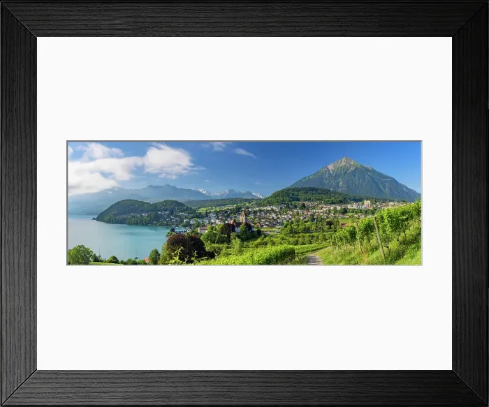 Framed Print : Spiez Castle, vineyards and Niesen mountain, Spiez, Canton of Bern, Switzerland Framed Print : Spiez Castle, vineyards and Niesen mountain, Spiez, Canton of Bern, Switzerland