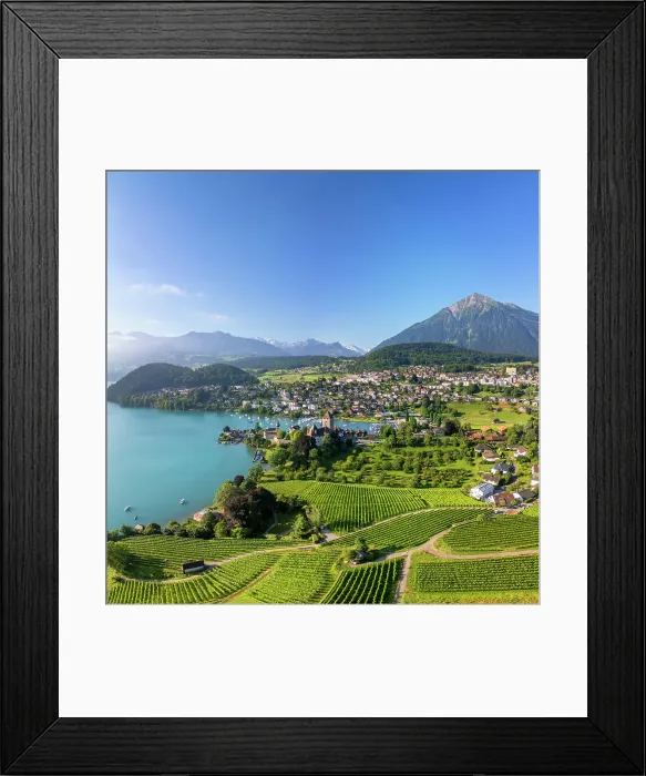 Framed Print : View of Spiez, Lake Thun and Niesen mountain, Spiez, Switzerland Framed Print : View of Spiez, Lake Thun and Niesen mountain, Spiez, Switzerland
