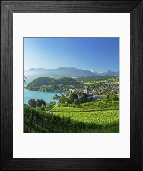 Framed Print : Spiez Castle and vineyards, Spiez, Canton of Bern, Switzerland Framed Print : Spiez Castle and vineyards, Spiez, Canton of Bern, Switzerland