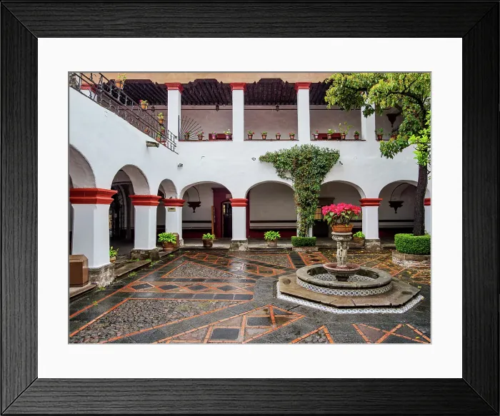 Framed Print : San Jacinto Church, interior atrium, San Angel Neighbourhood, Mexico City, Mexico Framed Print : San Jacinto Church, interior atrium, San Angel Neighbourhood, Mexico City, Mexico
