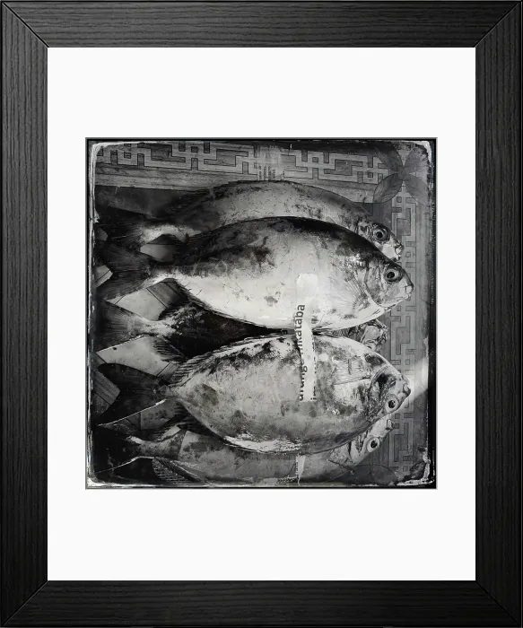 Framed Print : Fish on display at the local market, Stonetown, Zanzibar, Tanzania Framed Print : Fish on display at the local market, Stonetown, Zanzibar, Tanzania