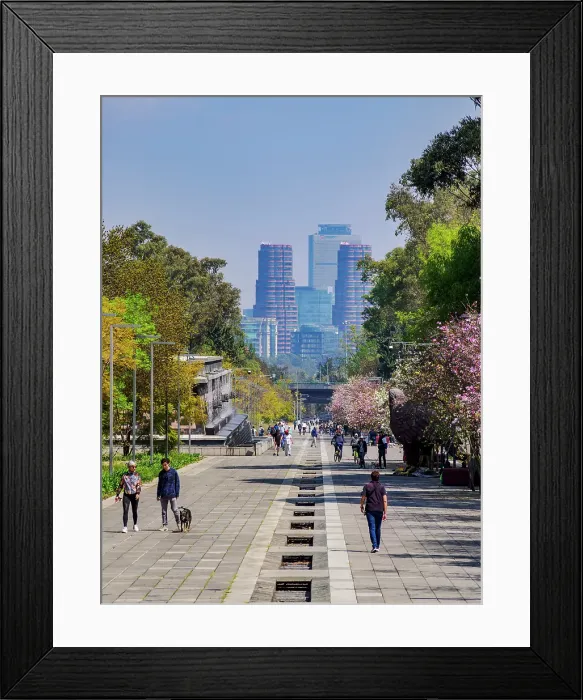 Framed Print : Avenida de los Compositores, Bosque de Chapultepec Park, Mexico City, Mexico